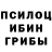 Галлюциногенные грибы Magic Shrooms Nimra Amjad