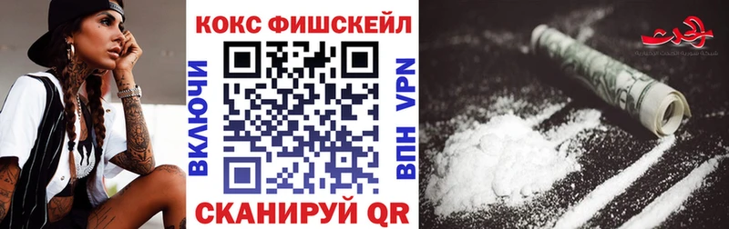 Купить закладки  Кстово  COCAIN FishScale 