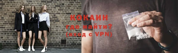 ГАЛЛЮЦИНОГЕННЫЕ ГРИБЫ Касимов