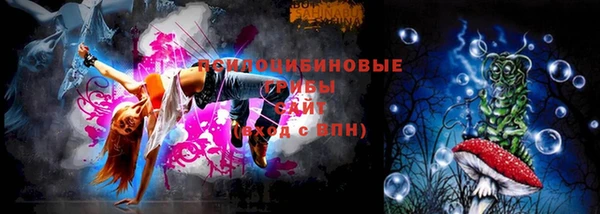 бошки Карпинск
