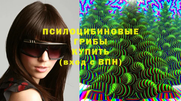 ГАЛЛЮЦИНОГЕННЫЕ ГРИБЫ Касимов