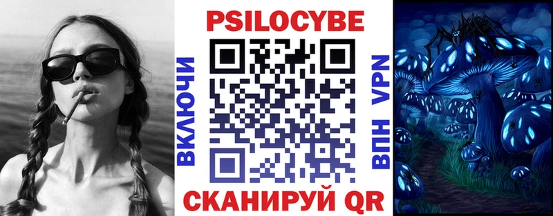 Купить где  Кстово  Псилоцибиновые грибы Psilocybine cubensis 